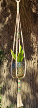 Load image into Gallery viewer, Plaited Cotton Plant Hanger, Neon Cashmere